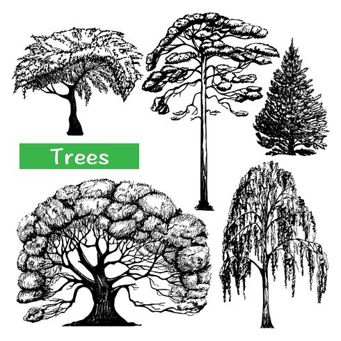 Conjunto de ícones pretos de mão desenhada de árvores vetor