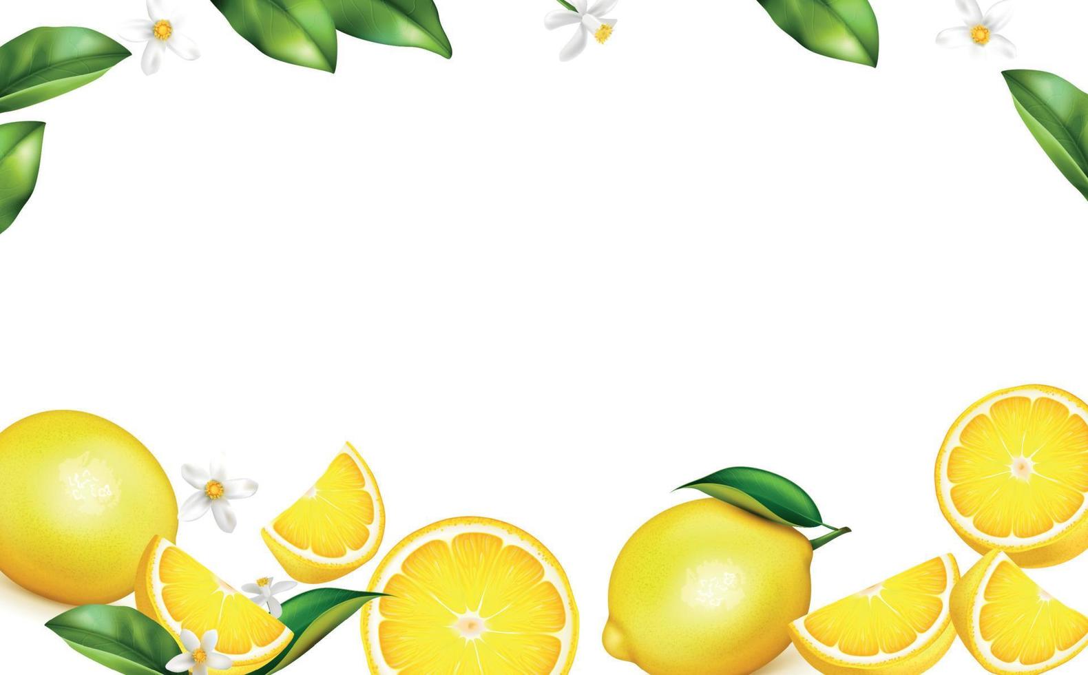 fundo realista de limão vetor