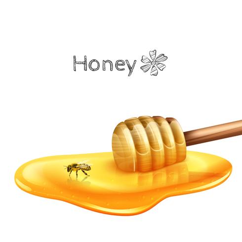 Poça de mel com vara vetor