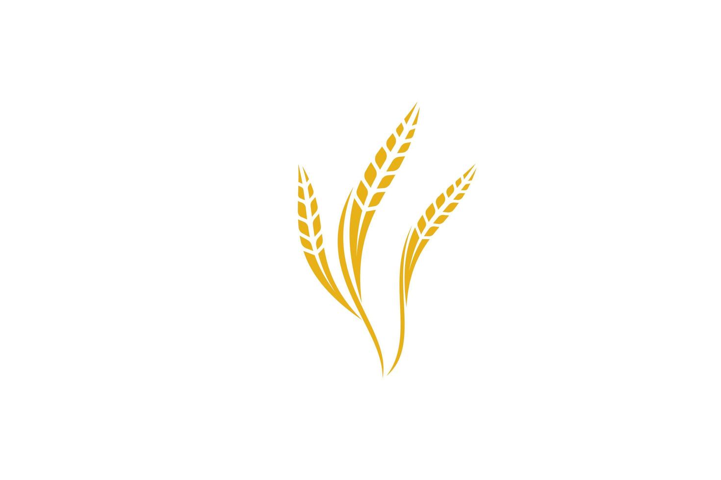 vetor de design de modelo de logotipo de trigo, ilustração de ícone