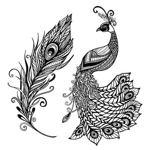 Design de penas de pavão preto doodle print vetor