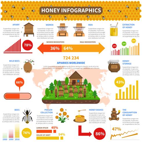 Conjunto de infográficos de mel vetor