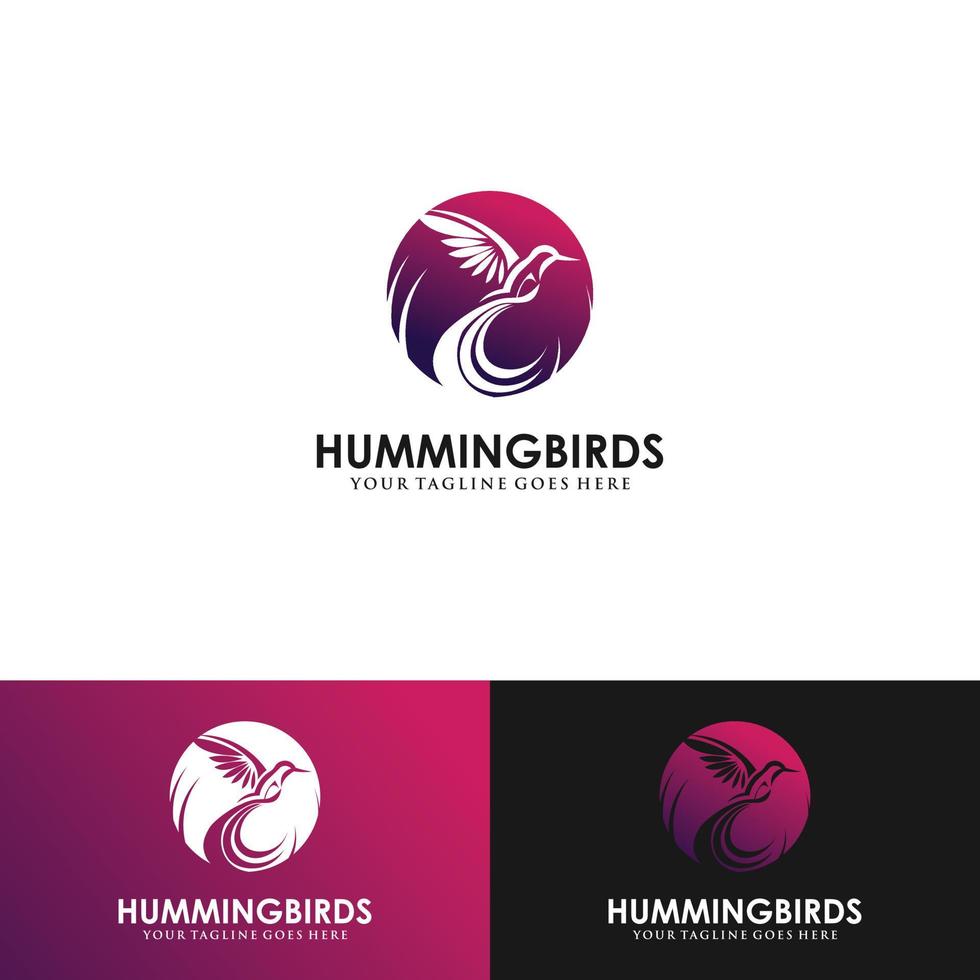 Vetor de design de logotipo de beija-flor com linha completa e estilos de cores