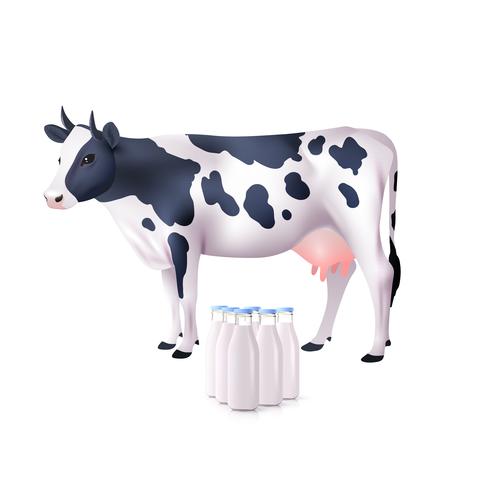 Vaca e garrafas de leite vetor