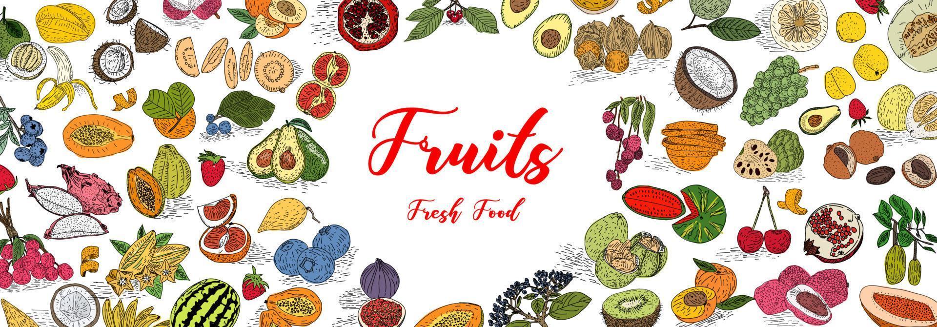 coleção de frutas em estilo desenhado de mão plana, conjunto de ilustrações. vetor