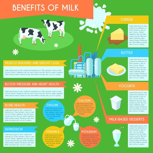 Cartaz de layout de infográfico de leite vetor