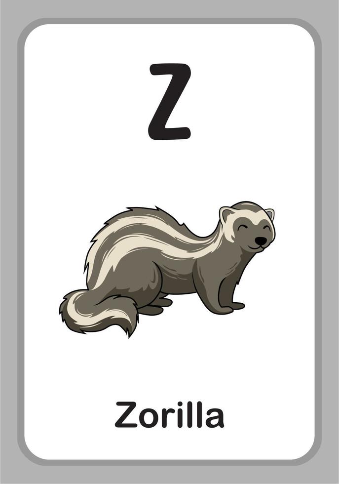 flashcards de educação do alfabeto animal - z para zorilla vetor