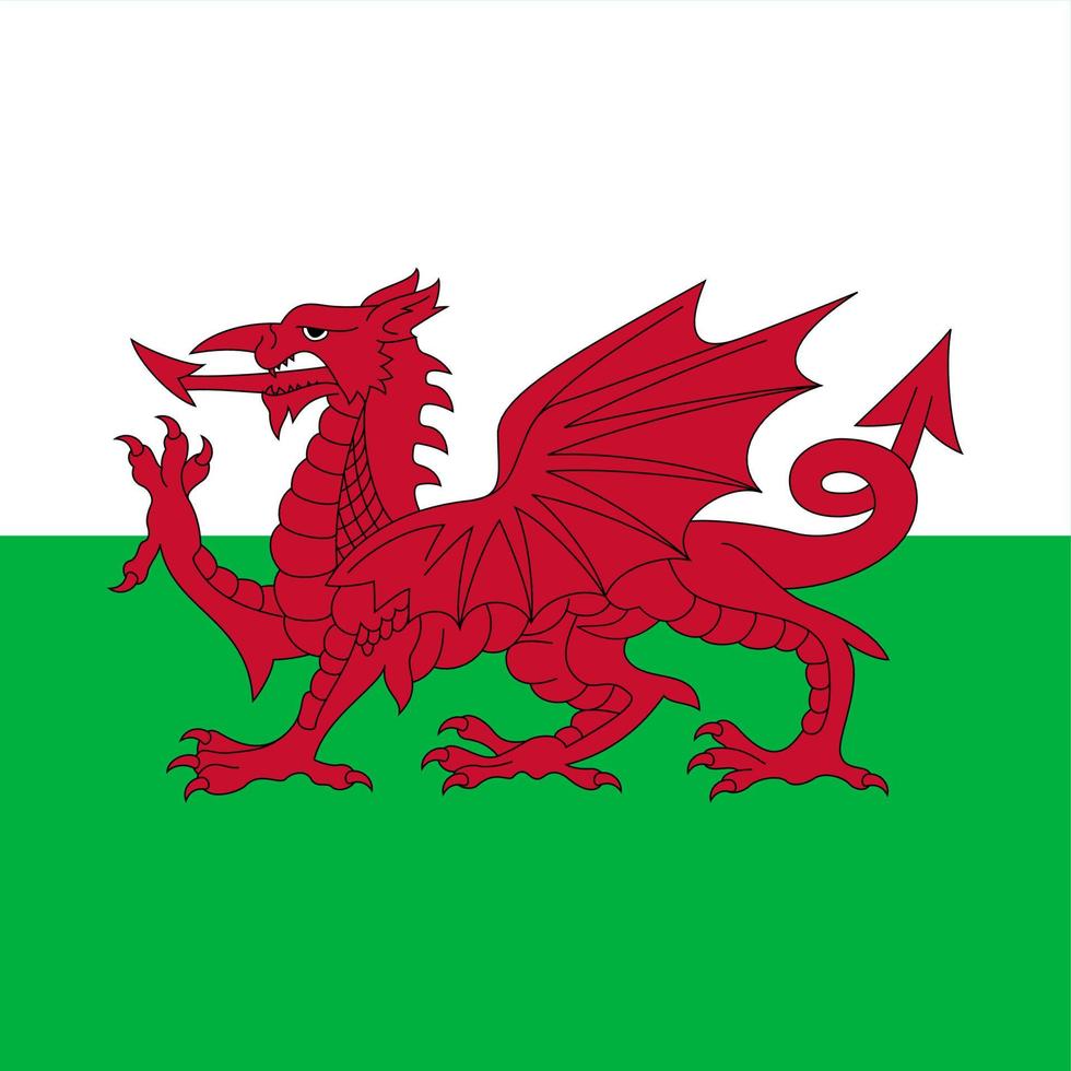 wales square bandeira nacional vetor