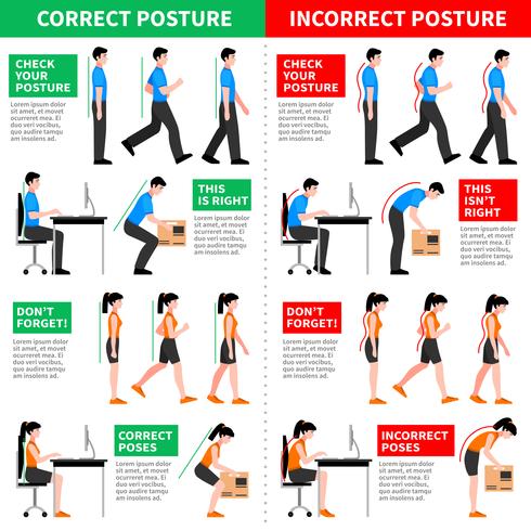 Infografias de posturas corretas e incorretas vetor