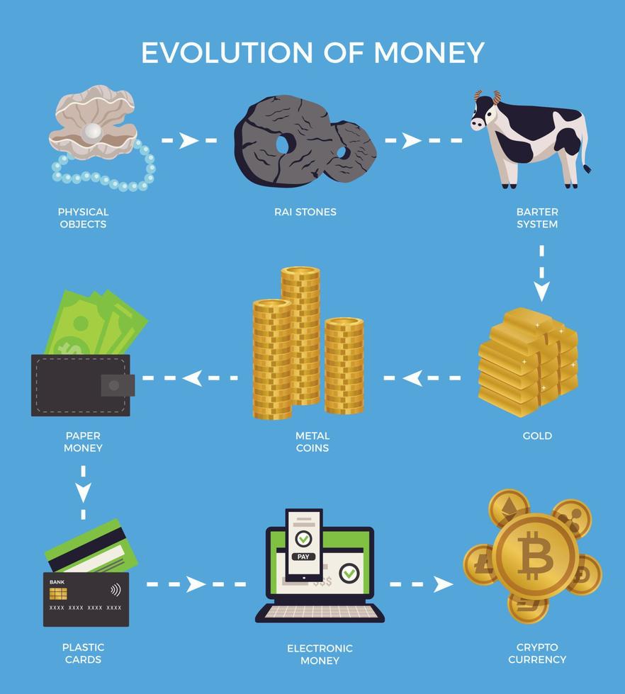 evolução infográfico de dinheiro vetor