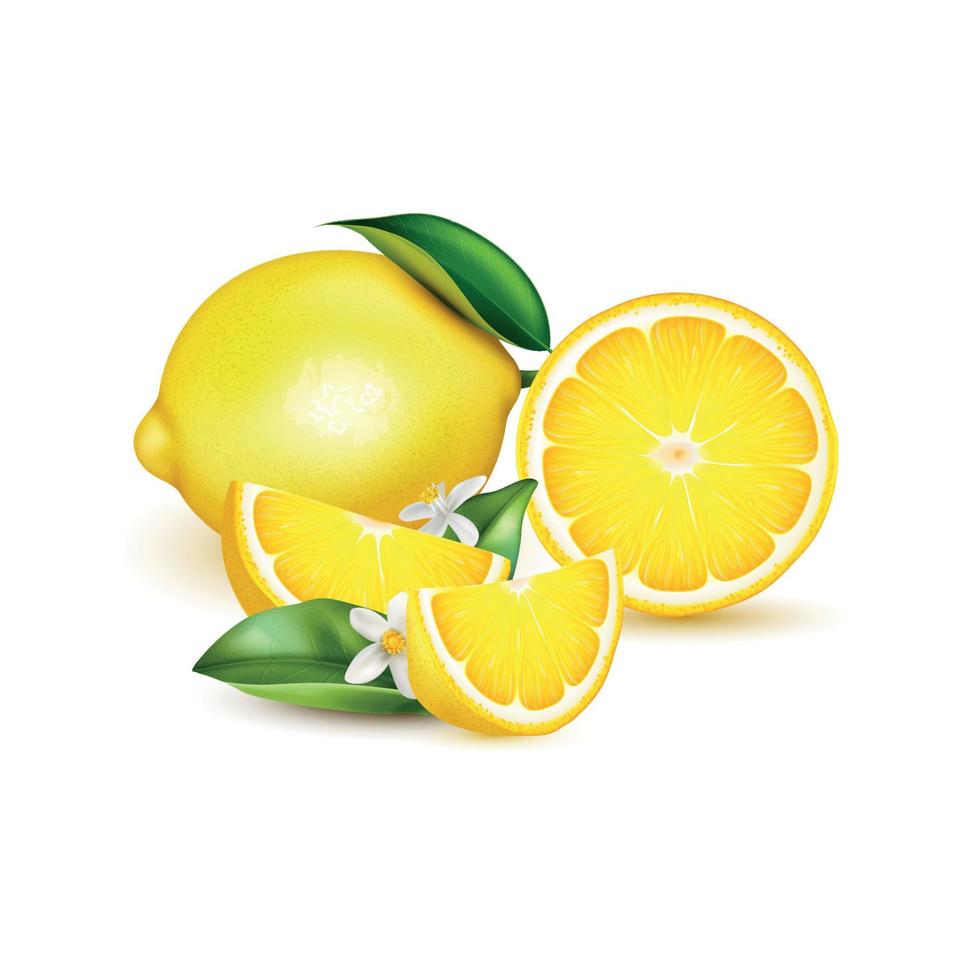 limão composição realista vetor