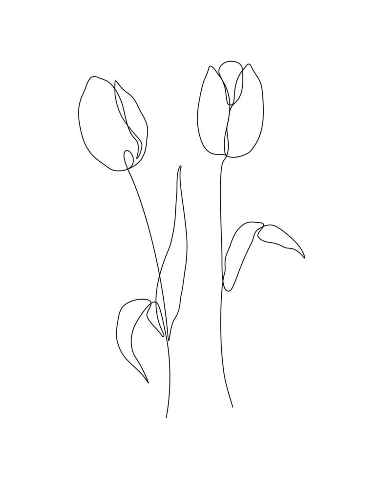 ilustração contínua de uma linha de uma flor vetor