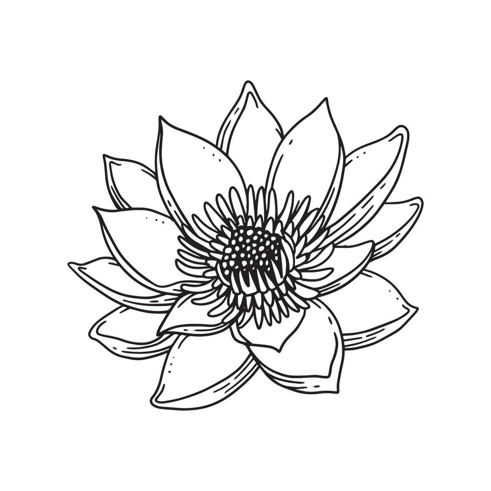 uma bela flor ilustrada em estilo de contorno. flor coleção de ilustrações desenhadas à mão para design floral. uma decoração de elemento para convite de casamento, cartão de felicitações, tatuagem, etc. vetor