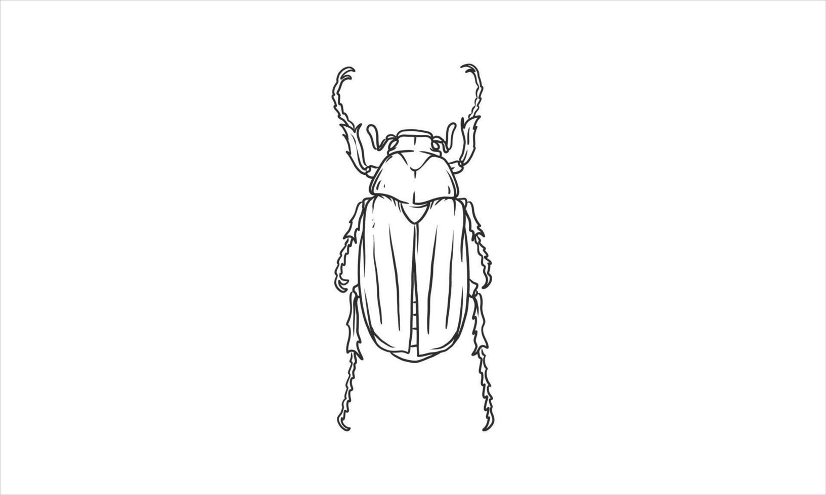 Ilustração do besouro desenhada à mão sem cor vetor