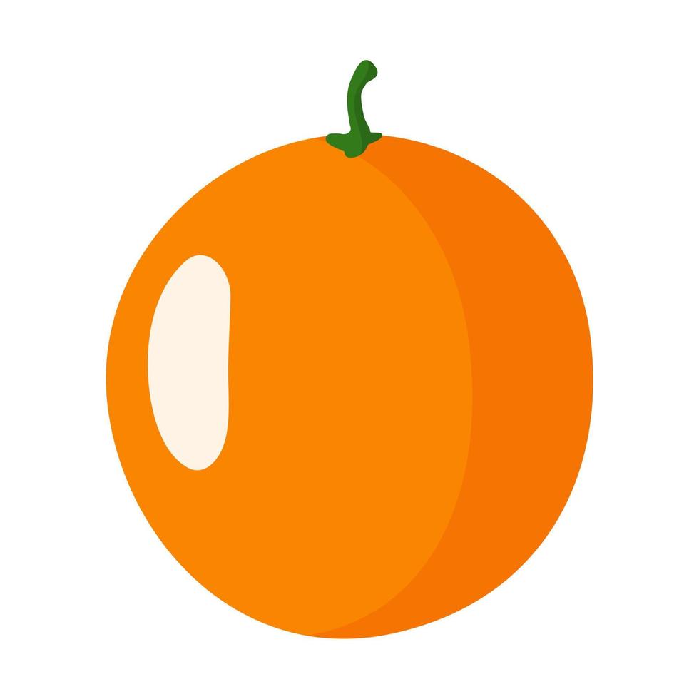 fruta fresca da laranja dos desenhos animados do vetor. vetor