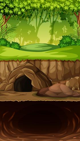 Caverna subterrânea na selva vetor