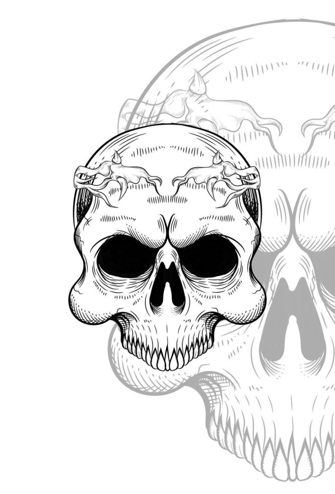 ilustração do crânio humano com a raiz da faixa na cabeça vetor