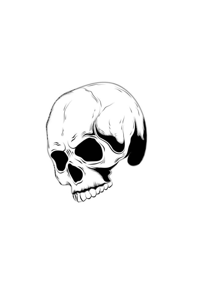 desenho de mão de ilustração vetorial de crânio vetor