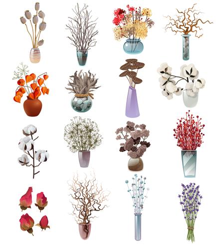 Coleção De Bouquets De Flores Secas Em Vasos vetor