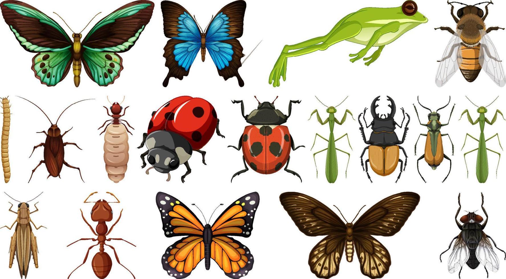 coleção de diferentes insetos isolada no fundo branco vetor