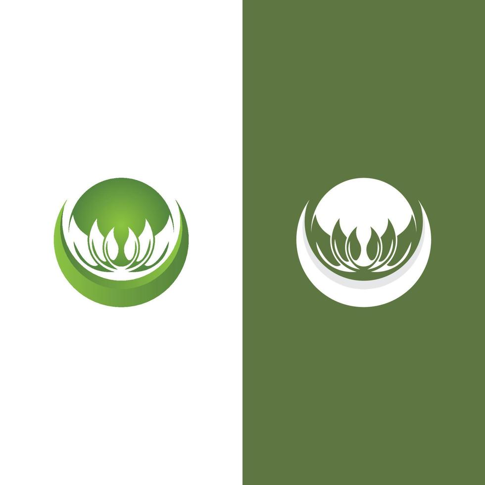 logotipos da ecologia de folhas verdes vetor