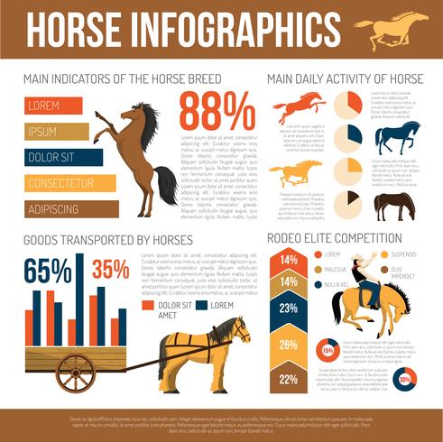 Cartaz infográfico de apresentação de raças de cavalo vetor