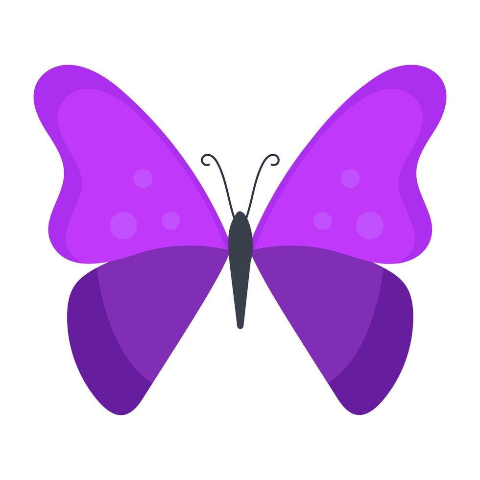 borboleta morfo roxa vetor