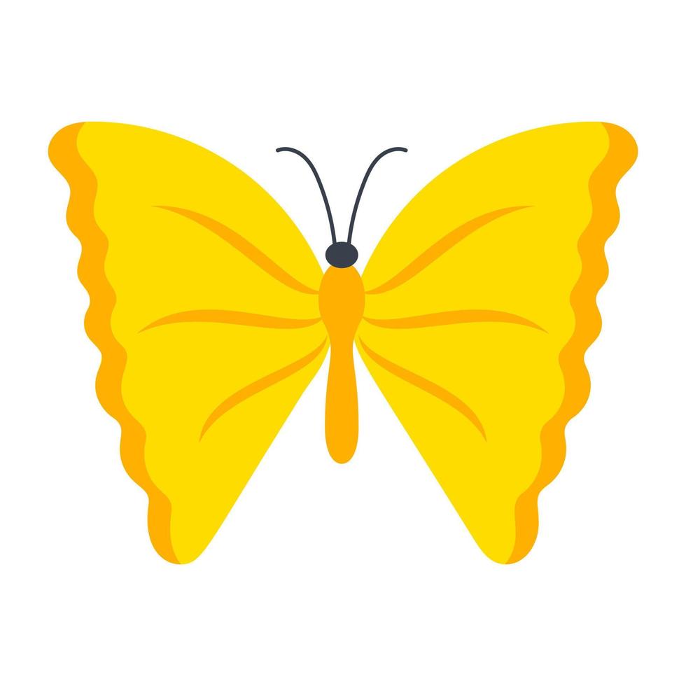 borboleta amarela angulada vetor