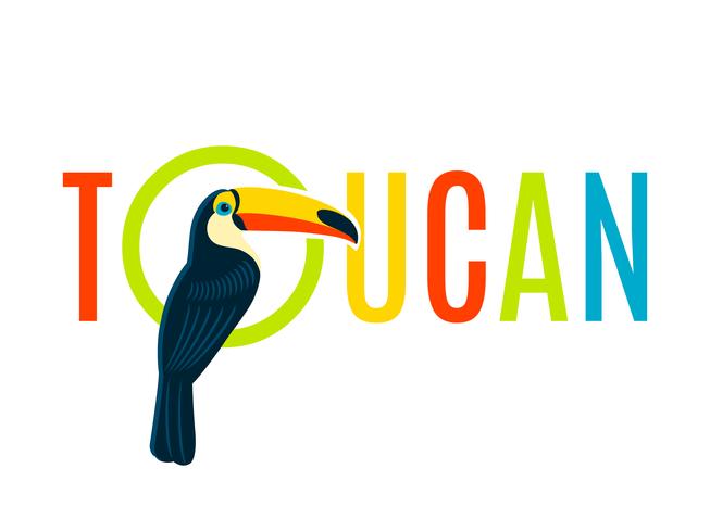 Banner de design de placa de identificação decorativa plana de Tucano vetor