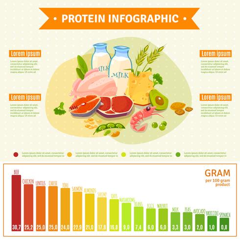 Cartaz liso de Infographic do alimento saudável da proteína vetor