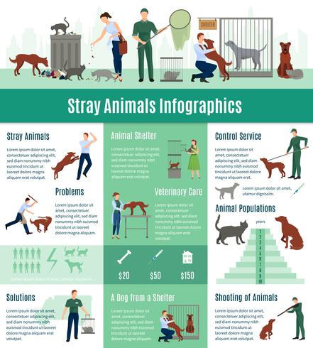 Conjunto de infográficos de animais vadios vetor