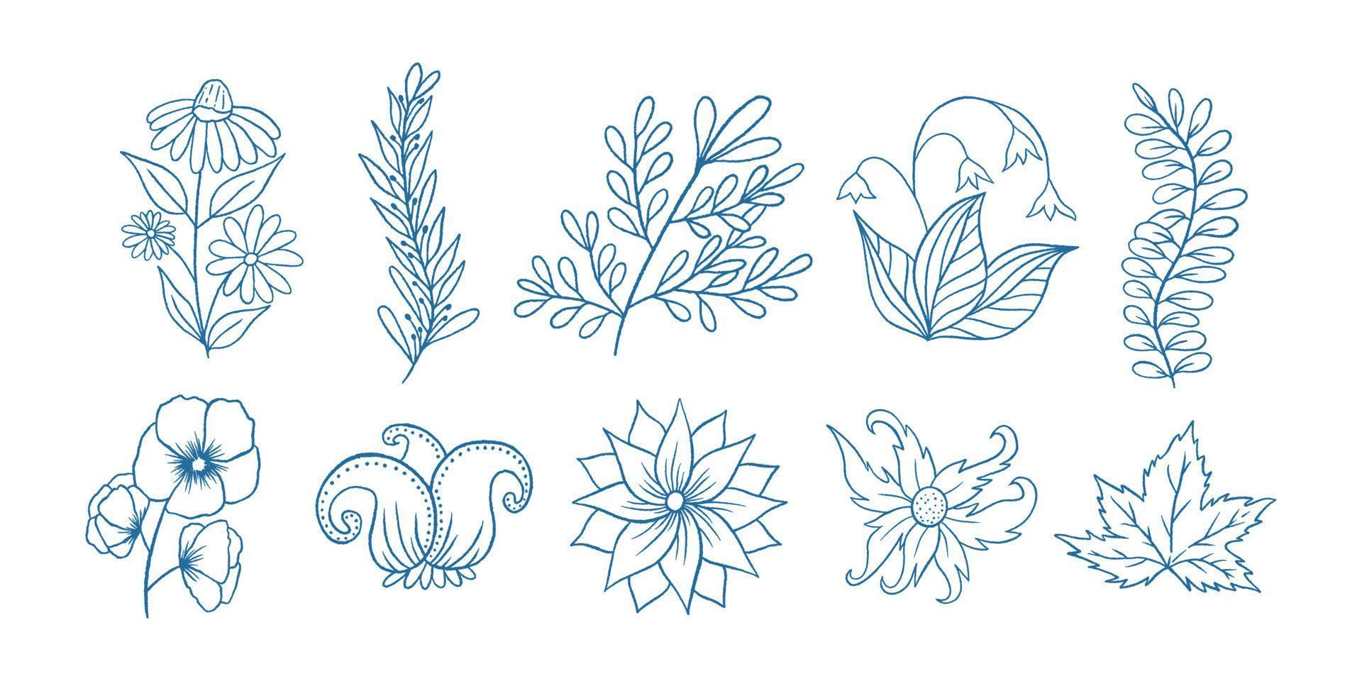 esboço doodle coleção floral botânica ilustração, livro para colorir vetor