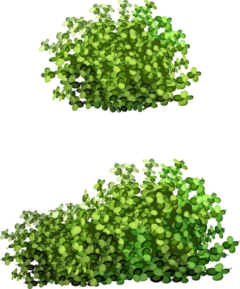 planta ornamental verde em forma de arbusto de jardim hedge.ivy arch.realistic, arbusto sazonal, buxo, folhagem de arbusto de copa de árvore. vetor
