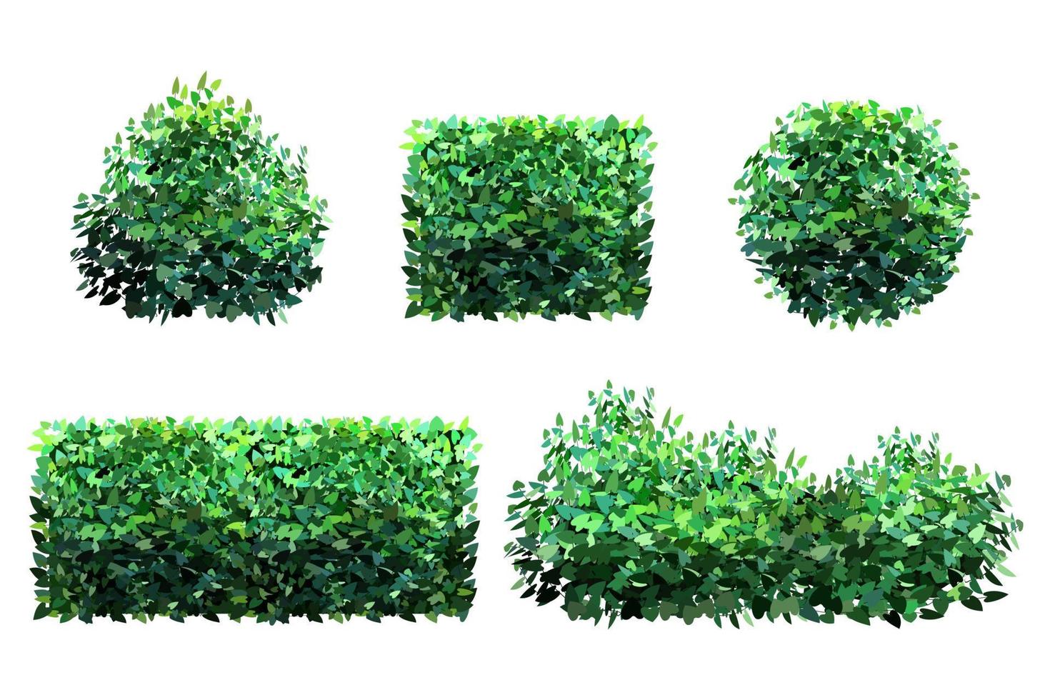 planta ornamental verde em forma de arbusto de jardim hedge.ivy arch.realistic, arbusto sazonal, buxo, folhagem de arbusto de copa de árvore. vetor