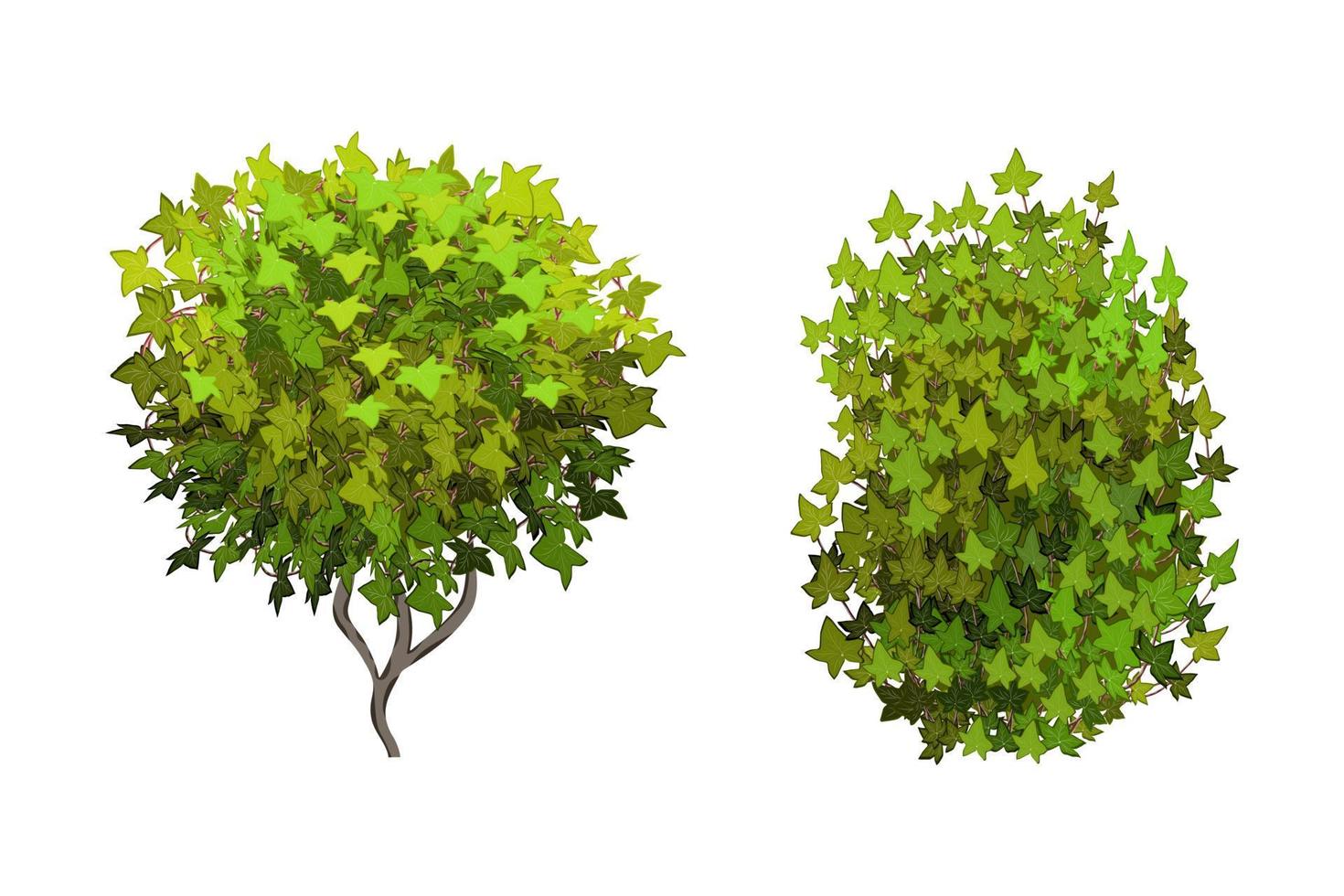 planta ornamental verde em forma de arbusto de jardim hedge.ivy arch.realistic, arbusto sazonal, buxo, folhagem de arbusto de copa de árvore. vetor