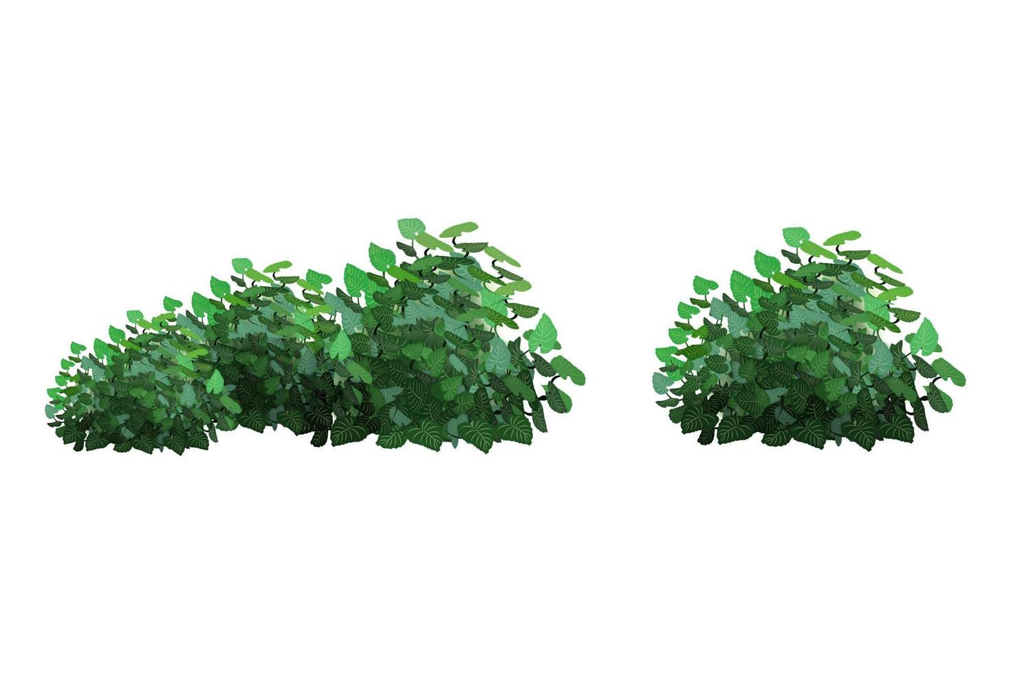 planta ornamental verde em forma de arbusto de jardim hedge.ivy arch.realistic, arbusto sazonal, buxo, folhagem de arbusto de copa de árvore. vetor