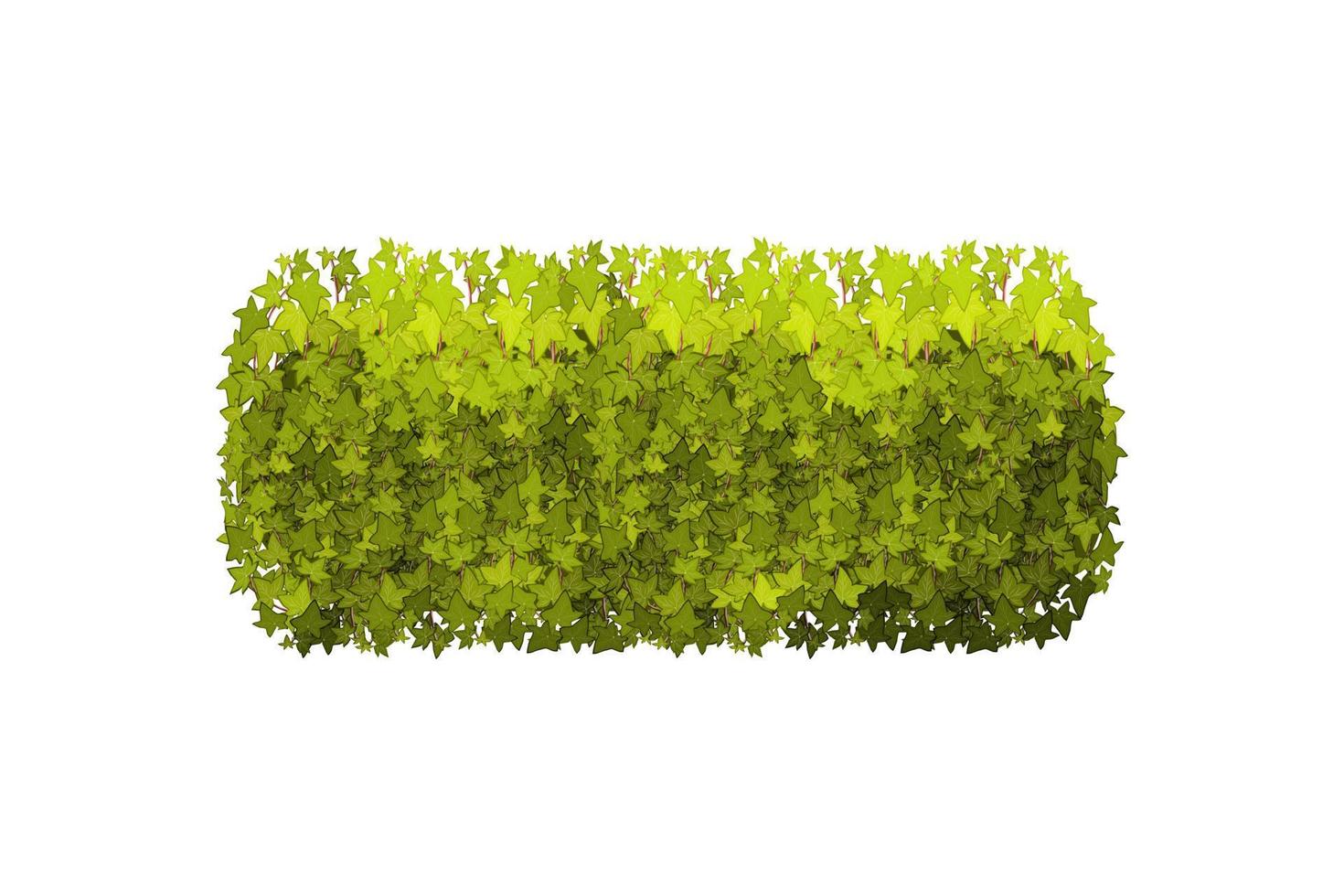 planta ornamental verde em forma de arbusto de jardim hedge.ivy arch.realistic, arbusto sazonal, buxo, folhagem de arbusto de copa de árvore. vetor