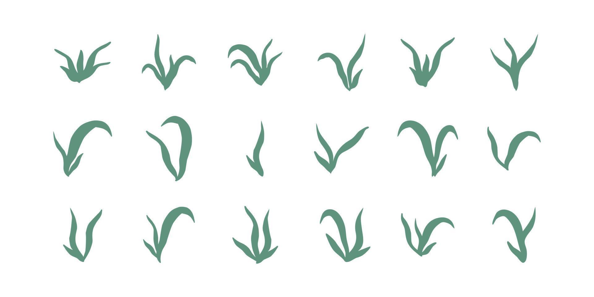 coleção de silhueta plantas algas algas plantas aquáticas aquáticas grama para aquário. ilustração de mão desenhada vector isolada em estilo doodle.