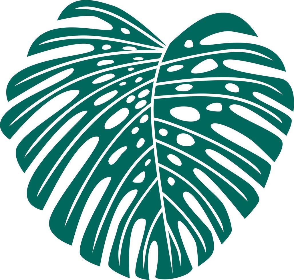 Monstera Leaf Vector