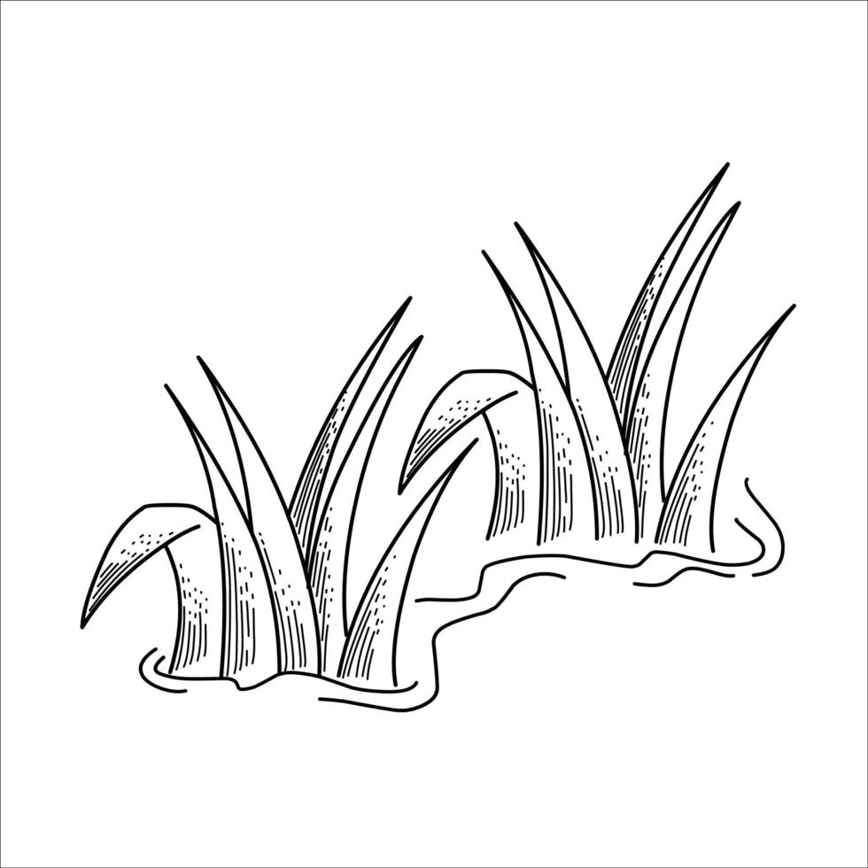 silhueta de vetor de grama desenho esboço