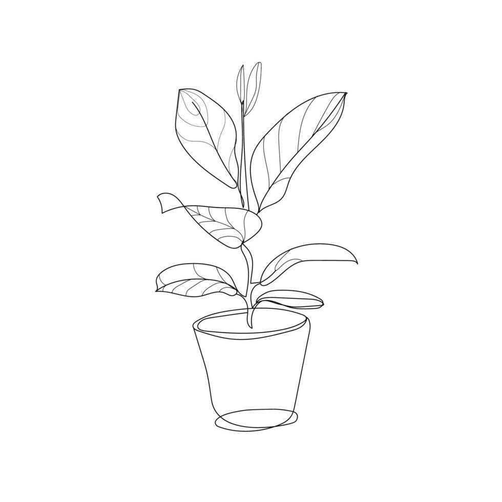 planta de interior em um vaso a mão desenho ilustração, estilo de contorno. Ilustração linear do vetor de uma flor de ficus em um vaso, isolado no fundo branco