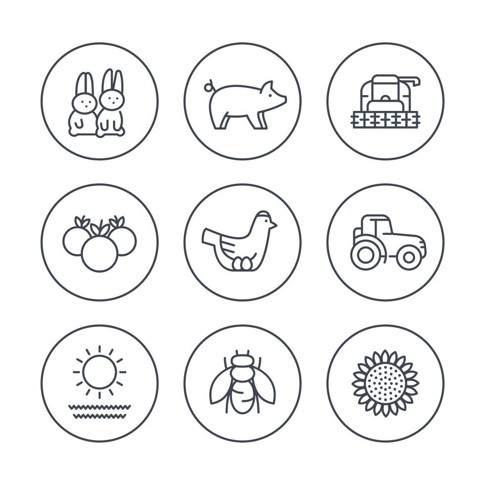 fazenda, ícones de linha de rancho em círculos, trator, colheitadeira, galinha, porco, colheita, ícones de vegetais, ilustração vetorial vetor