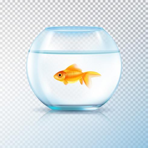 Golden Fish Bowl Realistic Transparente vetor