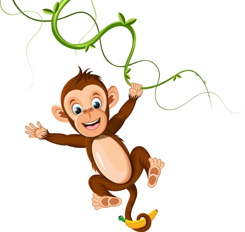 macaco alegre pendurado em uma videira segurando uma banana vetor
