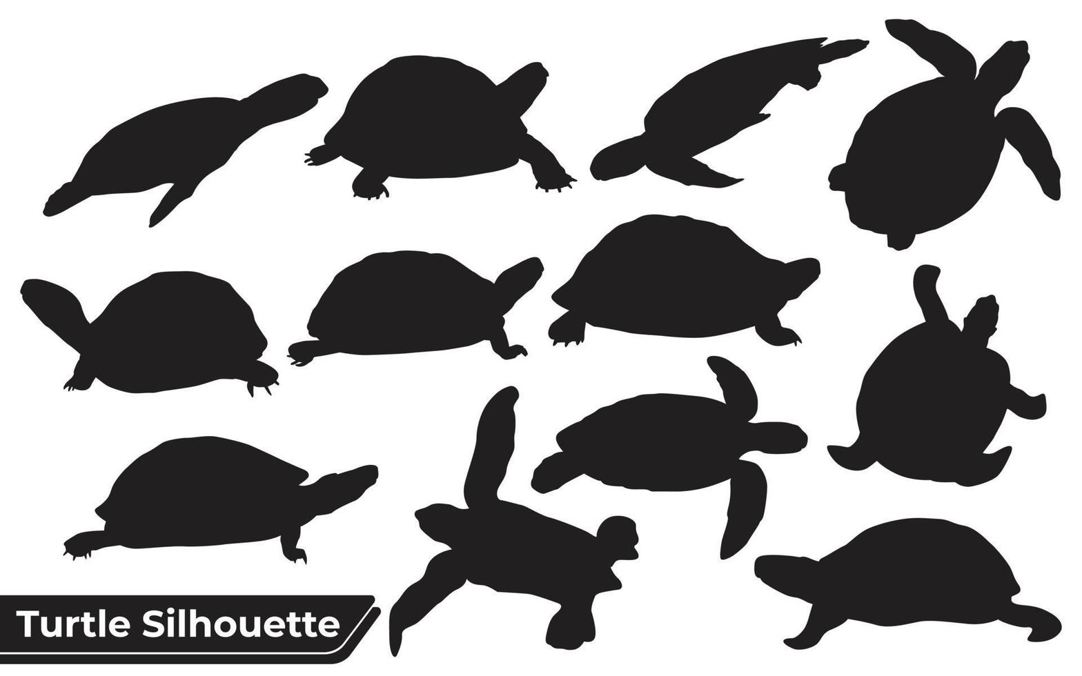coleção de silhueta de tartarugas animais em diferentes poses vetor