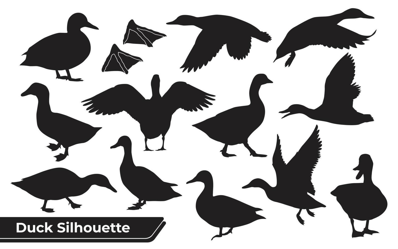 coleção de silhueta de pato em diferentes poses vetor