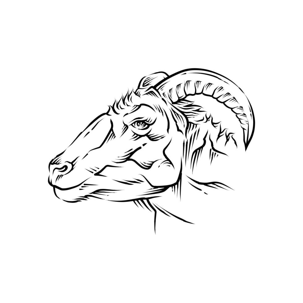 ilustração de cabeça de cabra vetor