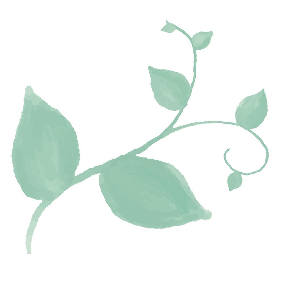 ramo verde com folhas. aquarela folhas verdes vetor