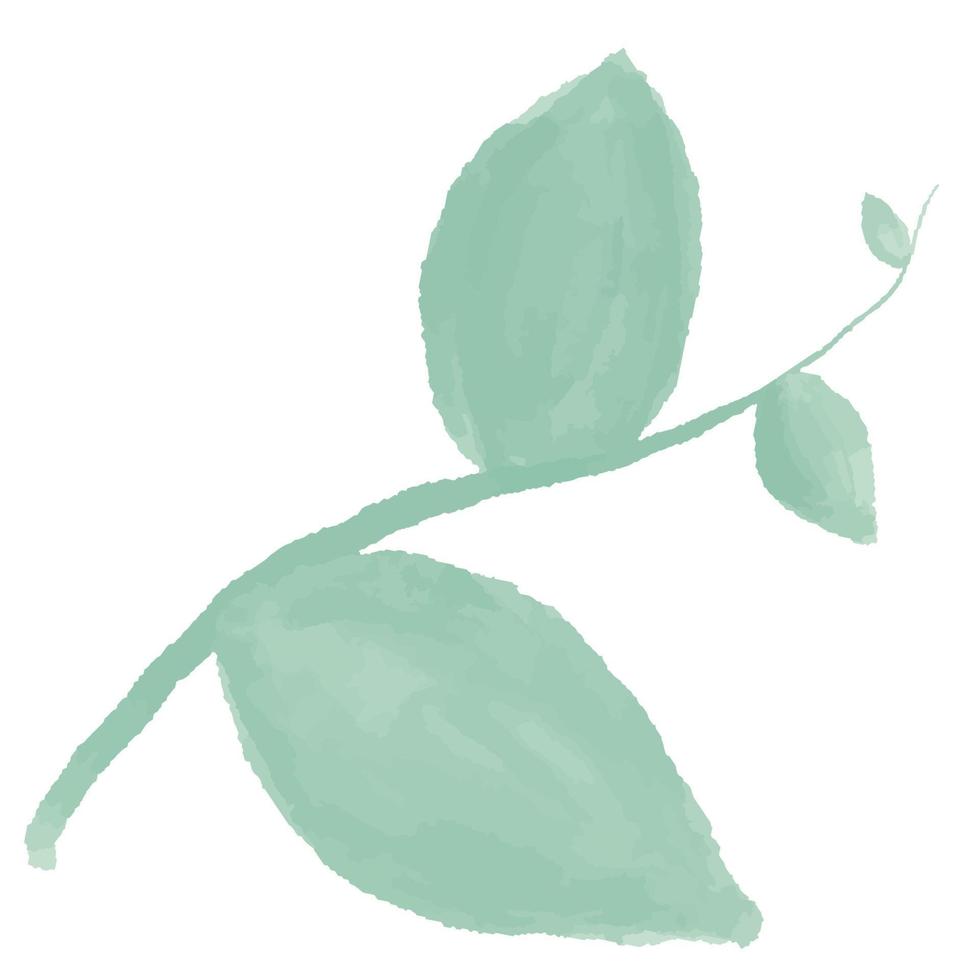 ramo verde com folhas. aquarela folhas verdes vetor