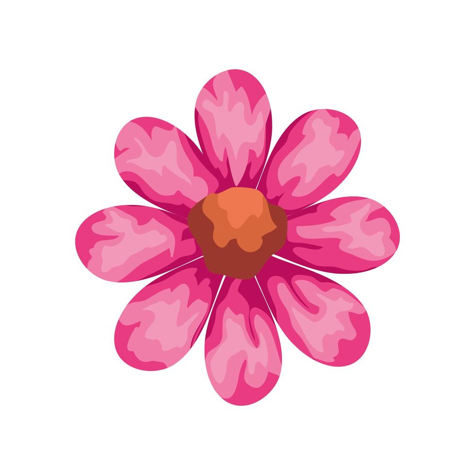 ícone isolado de flor fofa rosa vetor